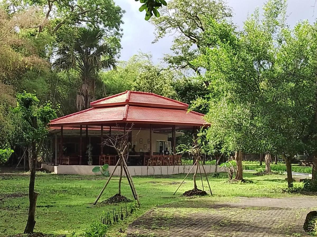 Jawa Jiwa G-Land Resort Dadapan エクステリア 写真